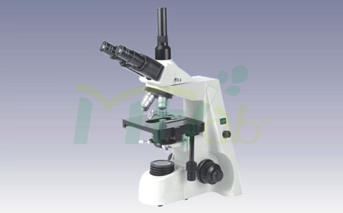 MF53021 Microscope